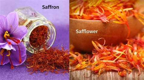 is safflower the same as saffron|What is the difference between safflower and saffron .